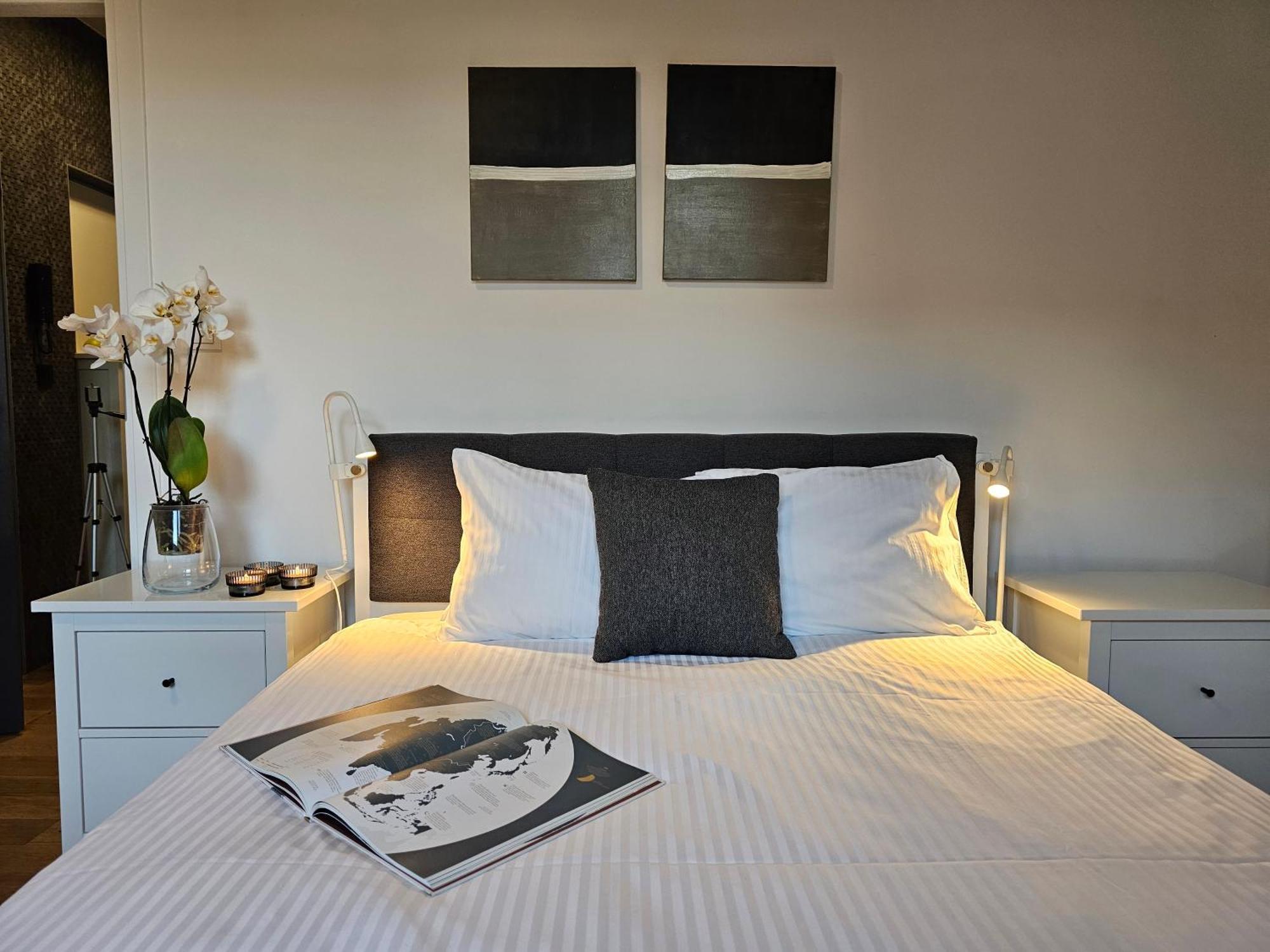 Urban Apartments Premium No 3, Free Private Parking, Self Check-In Chorzów Cameră foto